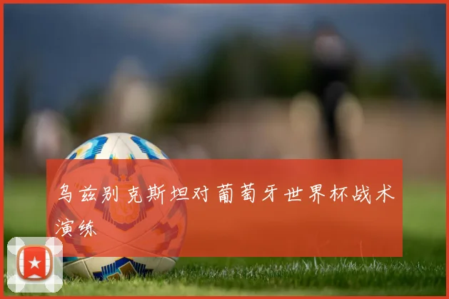 乌兹别克斯坦对葡萄牙世界杯战术演练