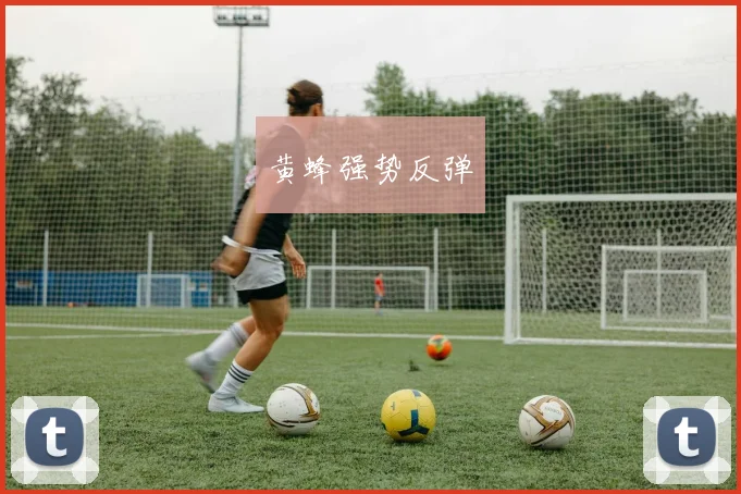 黄蜂强势反弹