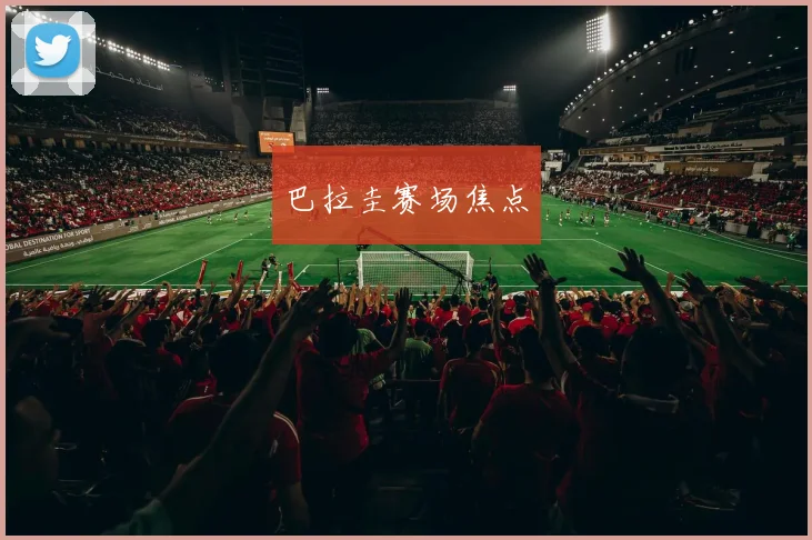 巴拉圭赛场焦点
