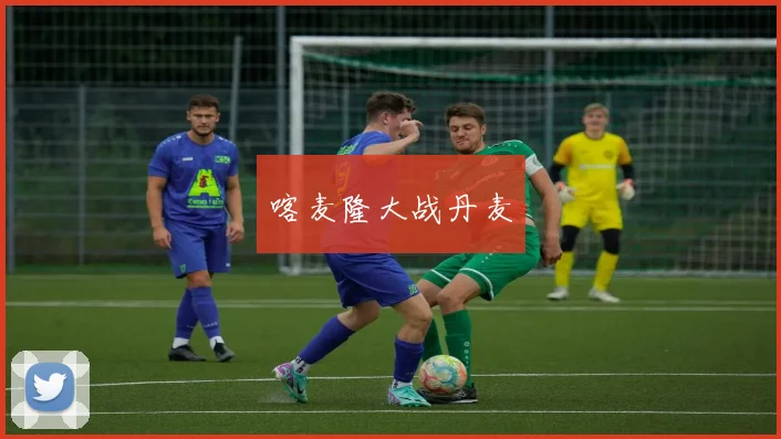 喀麦隆大战丹麦