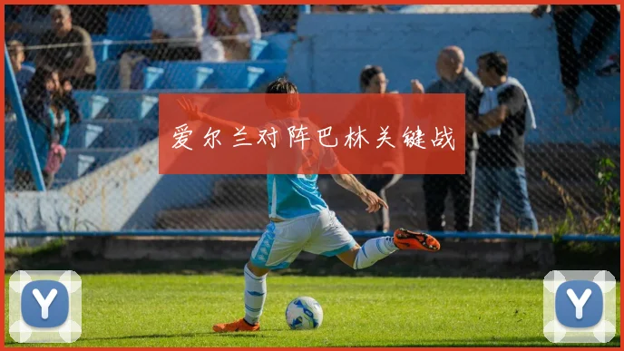 爱尔兰对阵巴林关键战
