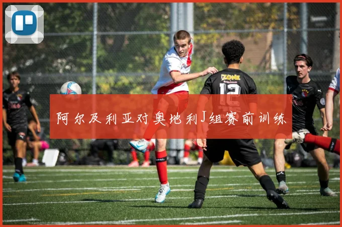 阿尔及利亚对奥地利J组赛前训练