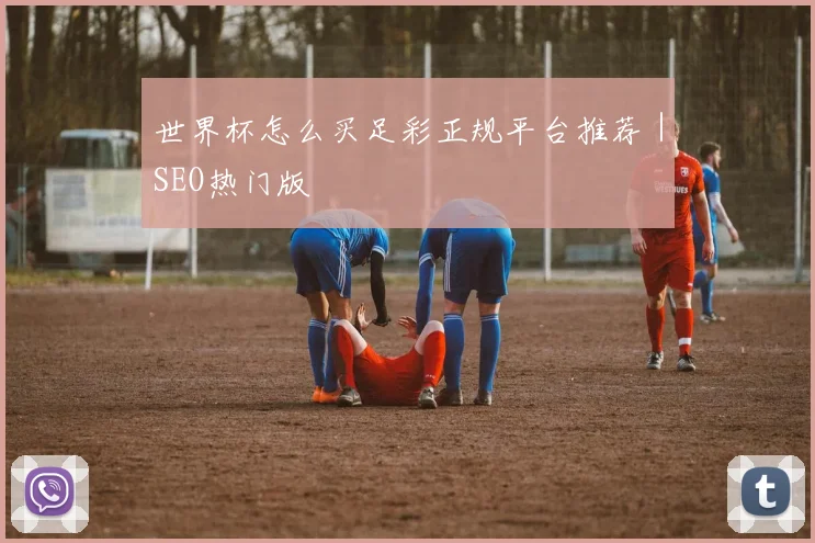 世界杯怎么买足彩正规平台推荐｜SEO热门版