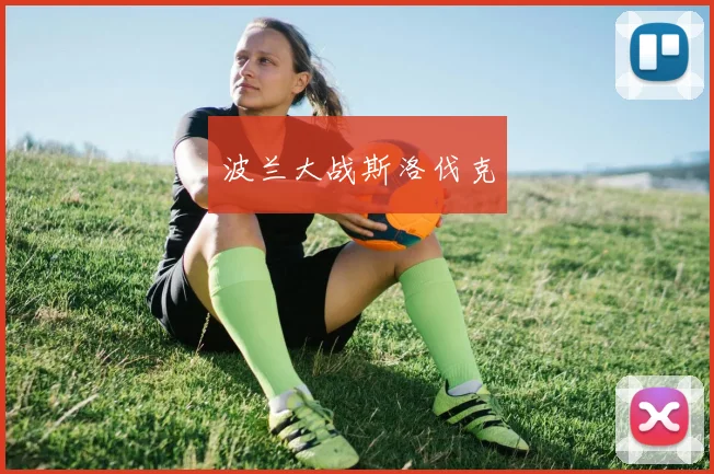 波兰大战斯洛伐克