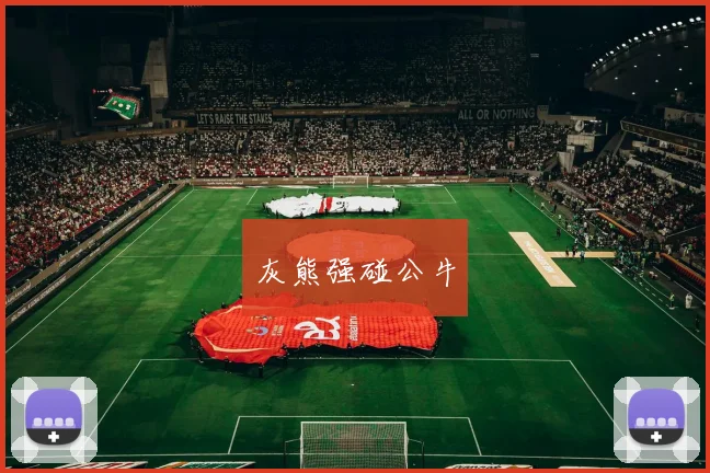 灰熊强碰公牛