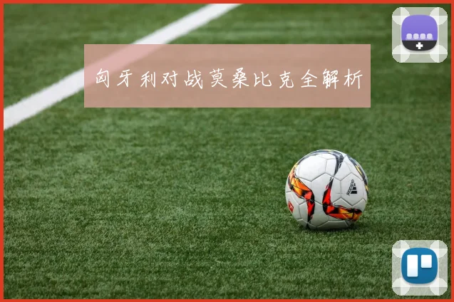 匈牙利对战莫桑比克全解析