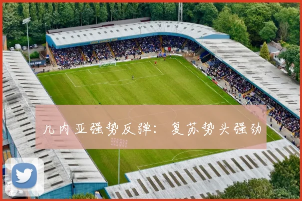 几内亚强势反弹：复苏势头强劲