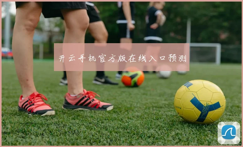 开云手机官方版在线入口预测