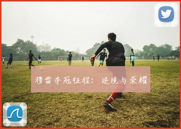 穆雷夺冠征程：逆境与荣耀