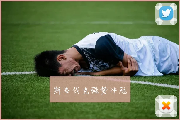 斯洛伐克强势冲冠