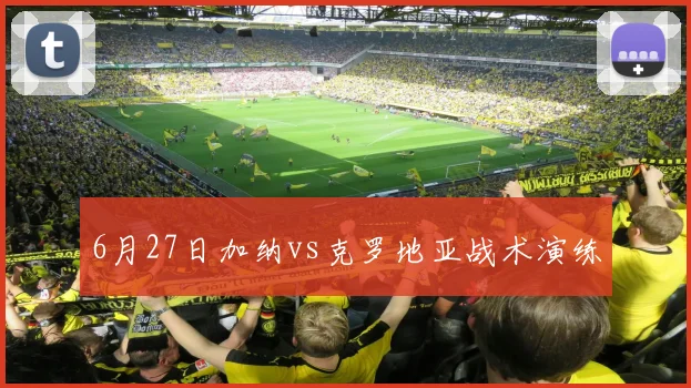 6月27日加纳vs克罗地亚战术演练