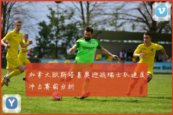 加拿大欧斯塔基奥迎战瑞士队速度冲击赛前分析