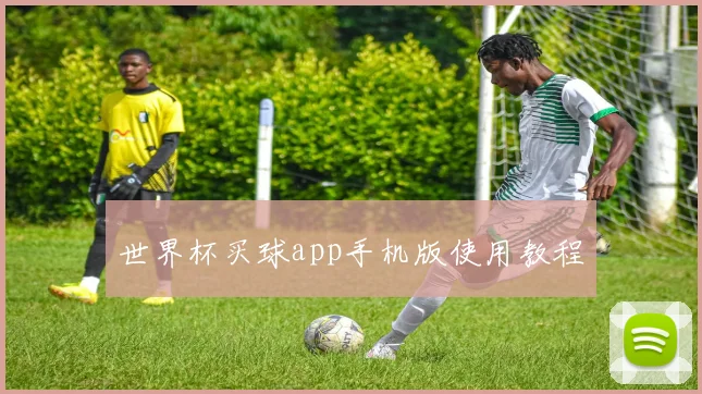 世界杯买球app手机版使用教程